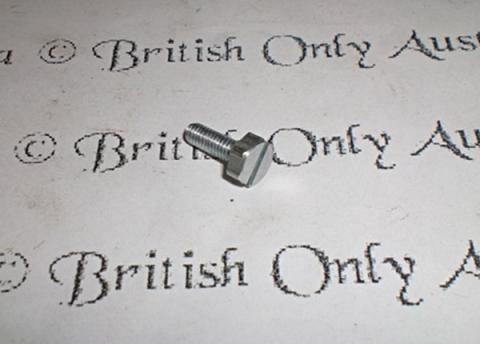 BTH Cover screw only