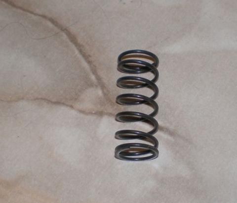 Norton Chainguard Spring  