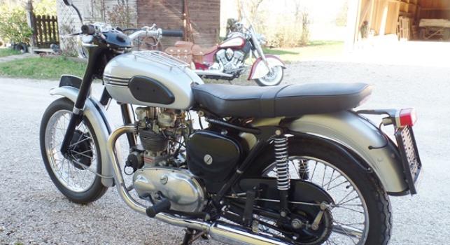 Triumph T100