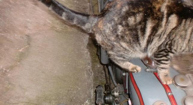 Harley Davidson 1000cc 1916