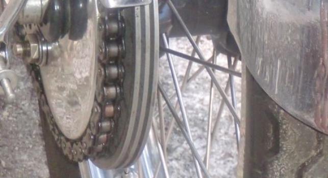 BSA Gold Star 500 cc 1954