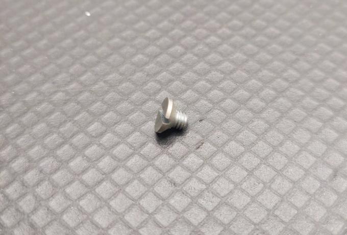 Ariel Schrauben für Gabelhülsen