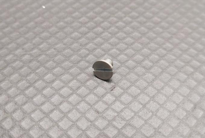 Ariel Schrauben für Gabelhülsen