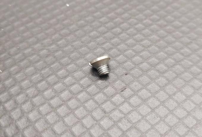 Ariel Schrauben für Gabelhülsen