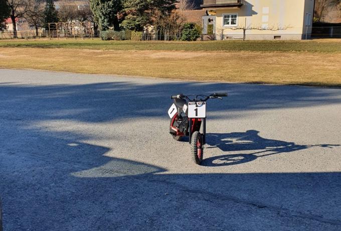 Indian 2022 Mini Electric 