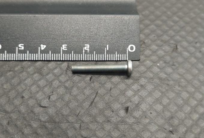 Triumph Screw - Indicator Lens (Bush M)