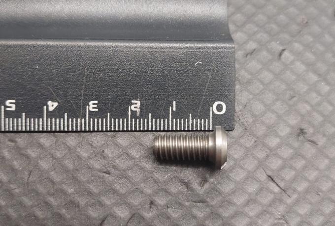 Triumph Screw for Oil Seal