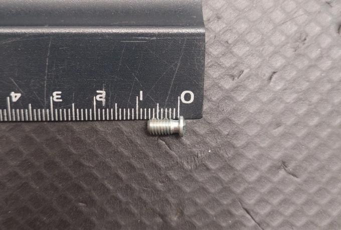 Triumph Badge Screw
