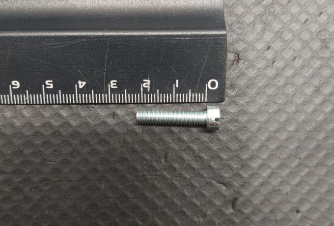 Triumph Screw Steel Slotted Fillister HD