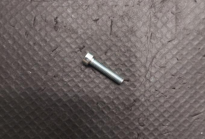 Triumph Screw Steel Slotted Fillister HD