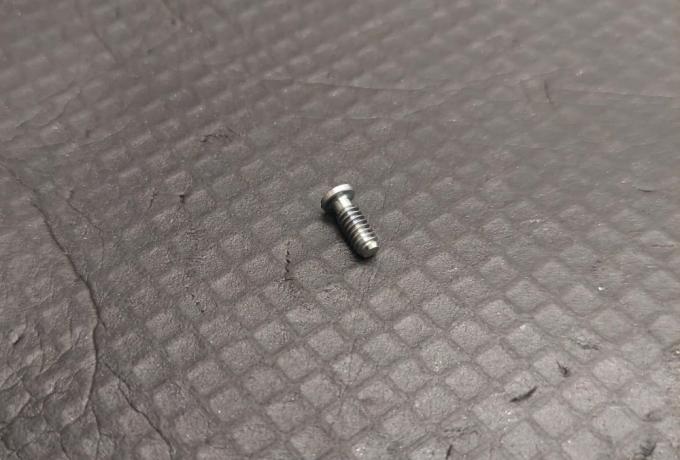 Triumph Screw - Petrol Tank Badge