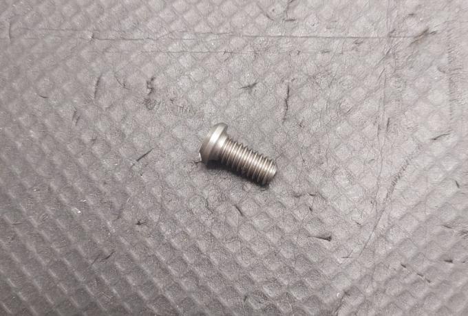 Triumph Screw for Oil Seal