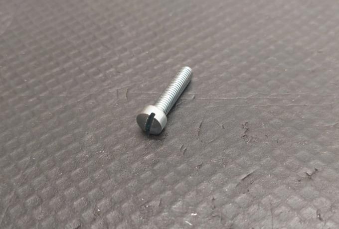 Triumph Screw Steel Slotted Fillister HD