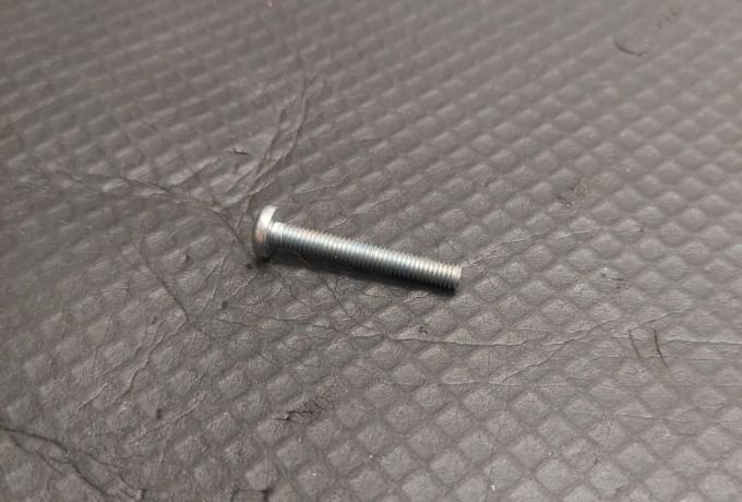 Triumph Screw - Indicator Lens (Bush M)