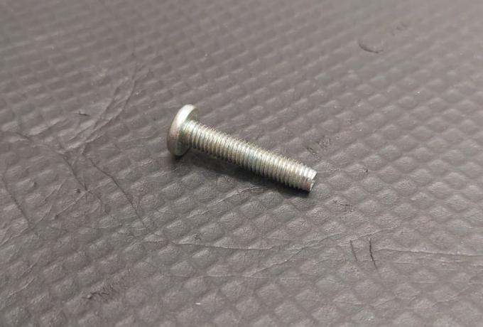 Triumph Screw