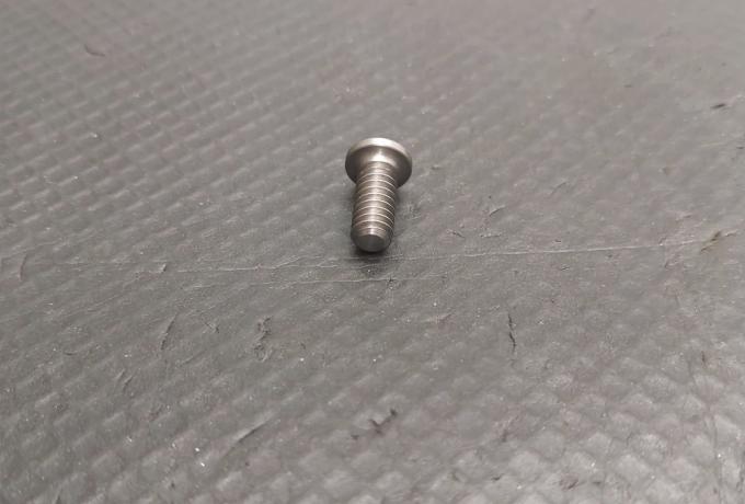 Triumph Screw for Oil Seal