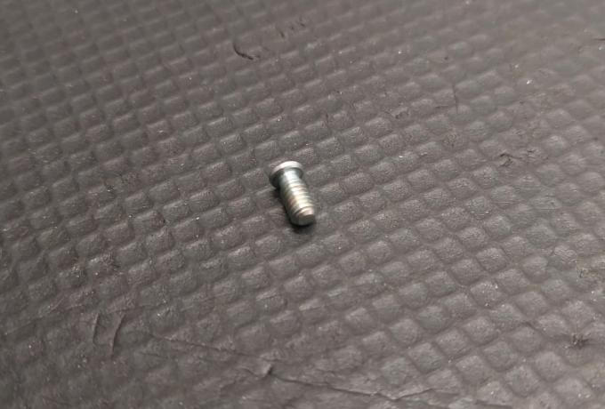 Triumph Badge Screw