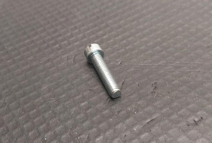 Triumph Screw Steel Slotted Fillister HD