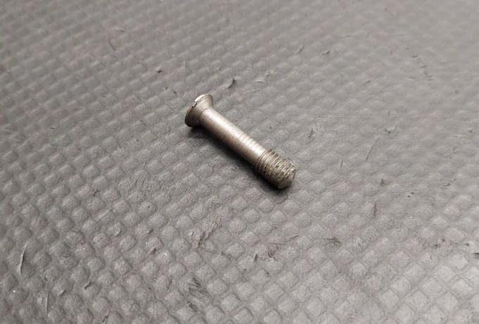 Triumph Tank Grid Screw Stainless Steel