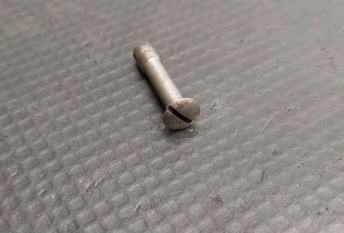 Triumph Tank Grid Screw Stainless Steel