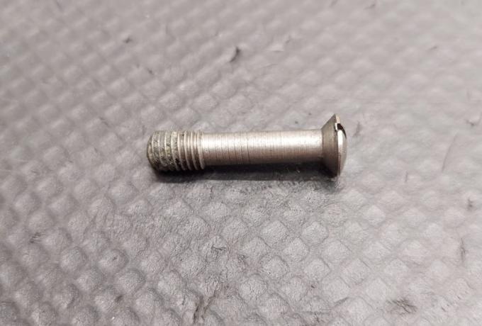 Triumph Tank Grid Screw Stainless Steel