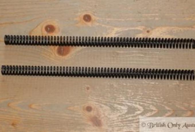 Triumph T160 Gabelfeder vorne