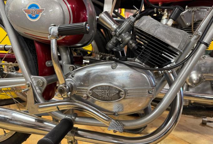 Bonvicini Marino Bologna