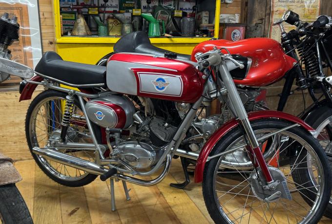 Bonvicini Marino Bologna