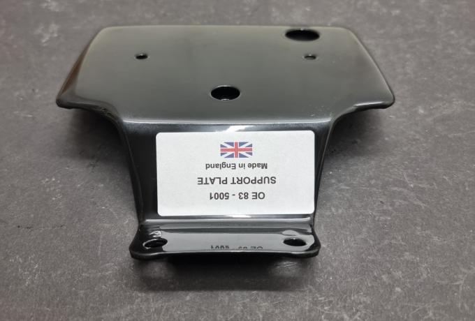Triumph Plate - Rear Lamp Support