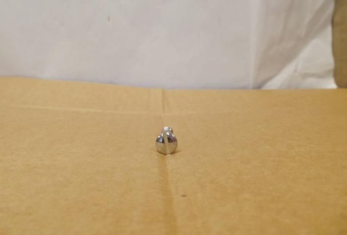 Triumph Tank Grid Screw 