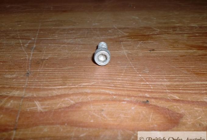 Allen Head/Cap Screw UNC WW 1/4 x 3/4"