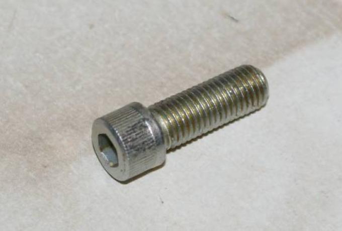 Allen/Cap Screw - Forks 5/16 UNF x 7/8"  24TPI