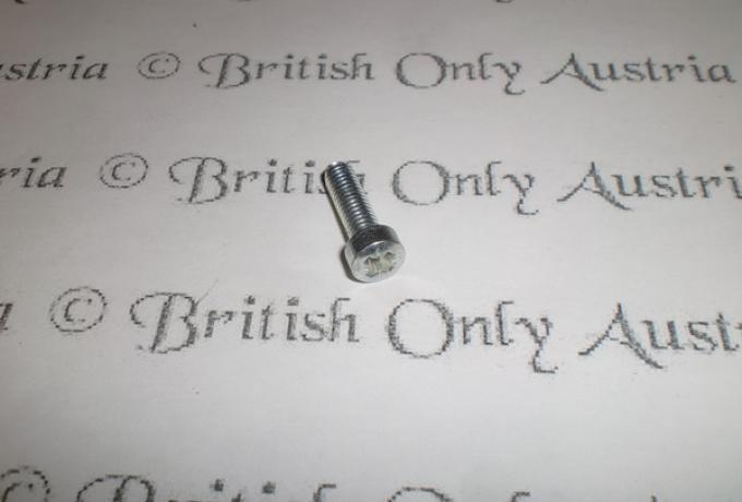 Amal Sicherungsschraube für Schwimmerkammer/Vergaserdeckel/Vergaserabdeckung