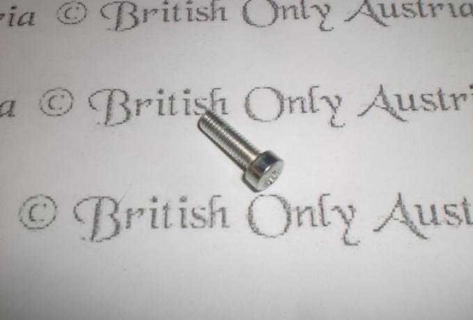 Amal Sicherungsschraube für Schwimmerkammer/Vergaserdeckel/Vergaserabdeckung