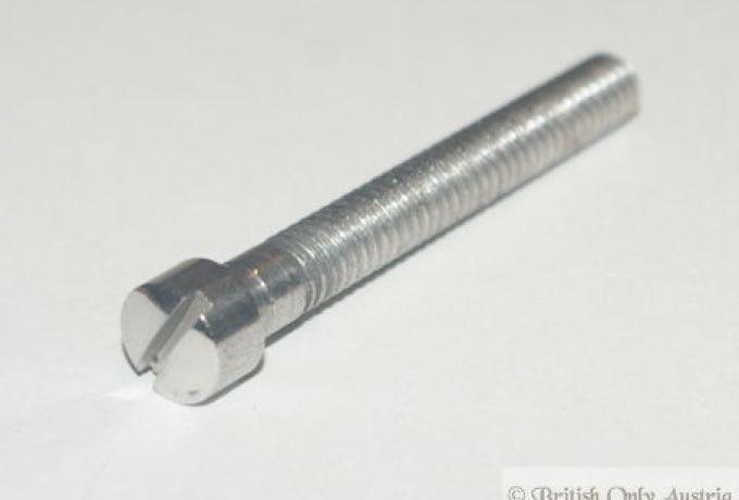 Whitworth Fillister Head Slotted Screw 1/4" x 2"  UH. SS