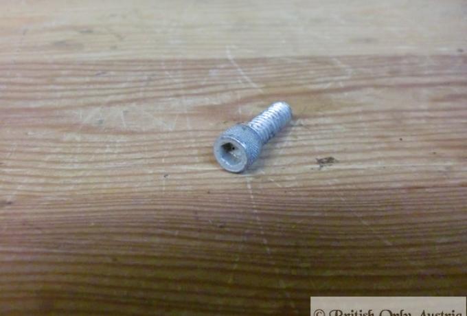 Allen Head/Cap Screw UNC WW 1/4 x 3/4"