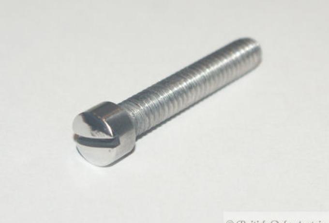 Whitworth Fillister Head Slotted Screw 1/4" x 1 1/4"  UH. SS