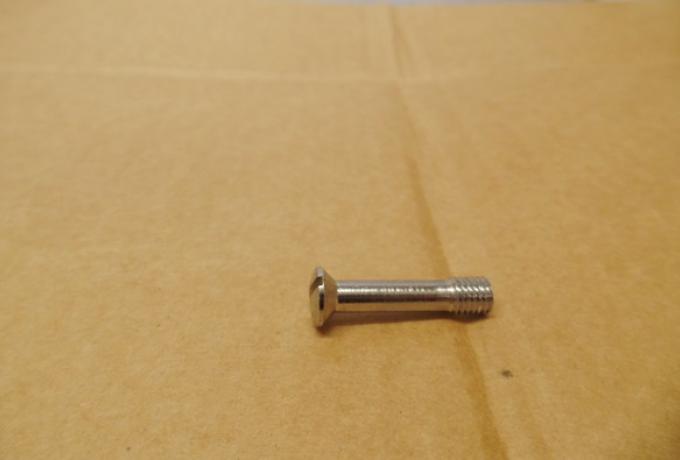 Triumph Tank Grid Screw 