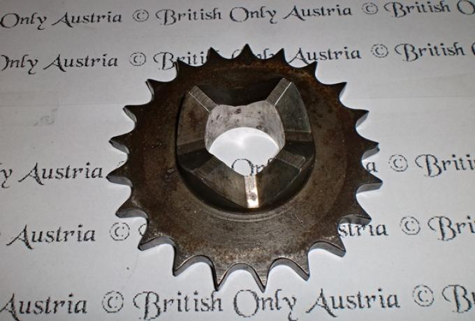 Ritzel 21Z. gebraucht