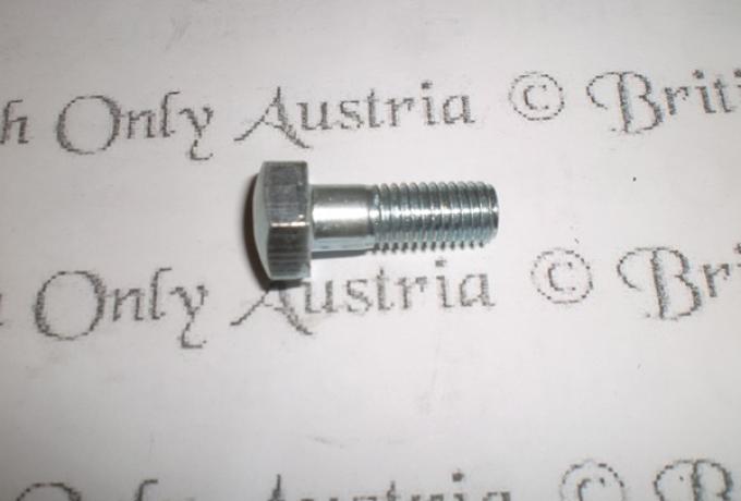 Triumph Bolt for Handlebars