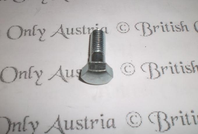 Triumph Bolt for Handlebars