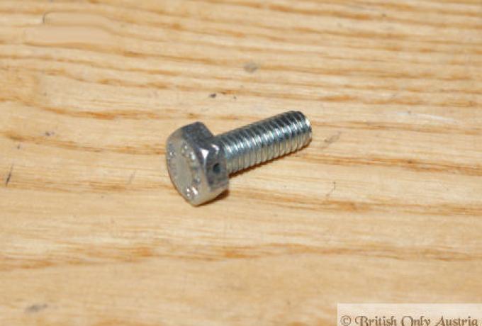 Triumph Bolzen f. Hupenhalterung-Rahmen