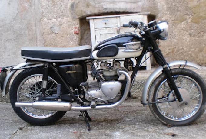 Triumph T100  1959