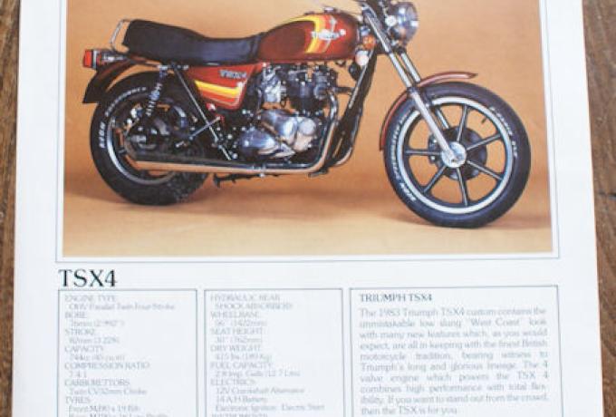 Triumph TSX4, Prospekt