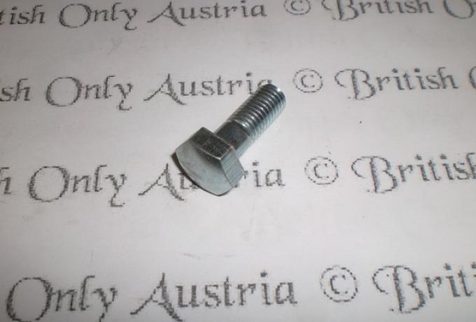 Triumph Bolt for Handlebars