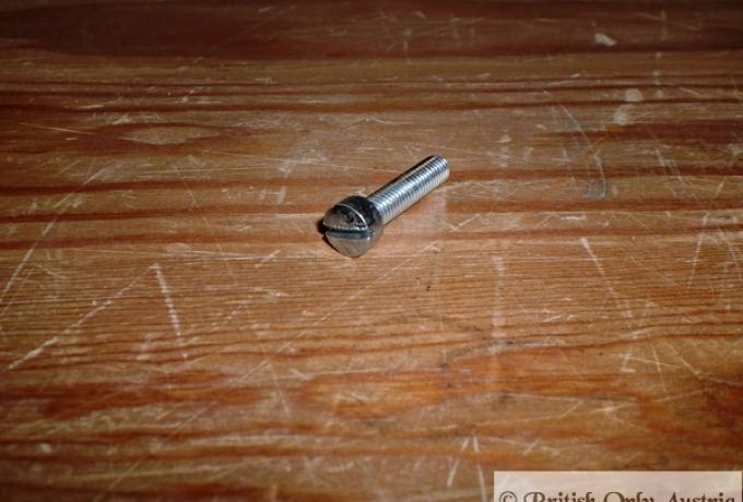 Screw 10 UNF x 3/4" UH Slotted