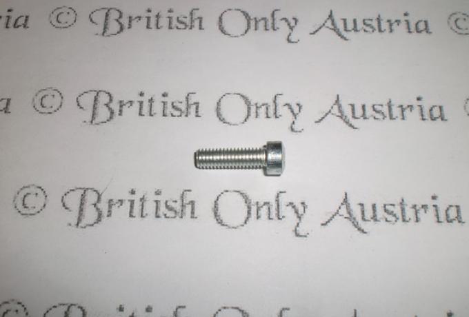 Amal Sicherungsschraube für Schwimmerkammer/Vergaserdeckel/Vergaserabdeckung