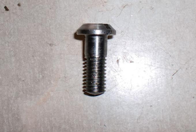 Triumph Schraube für Kettenkasten 350/500ccm