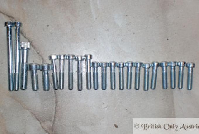 Triumph Motor/Deckelschrauben Satz BSF 1963-68
