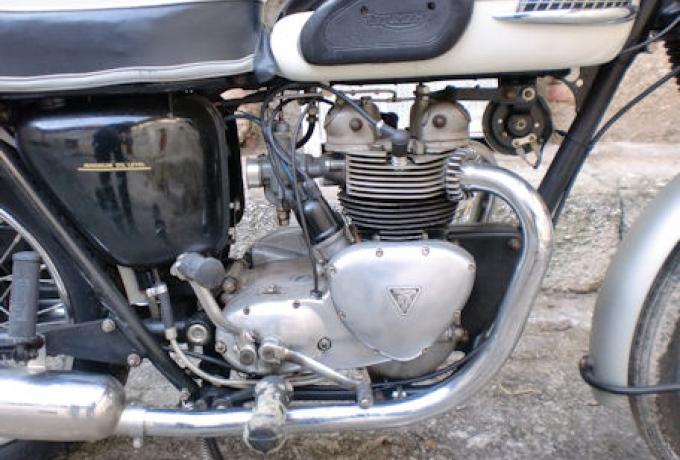 Triumph T100  1959